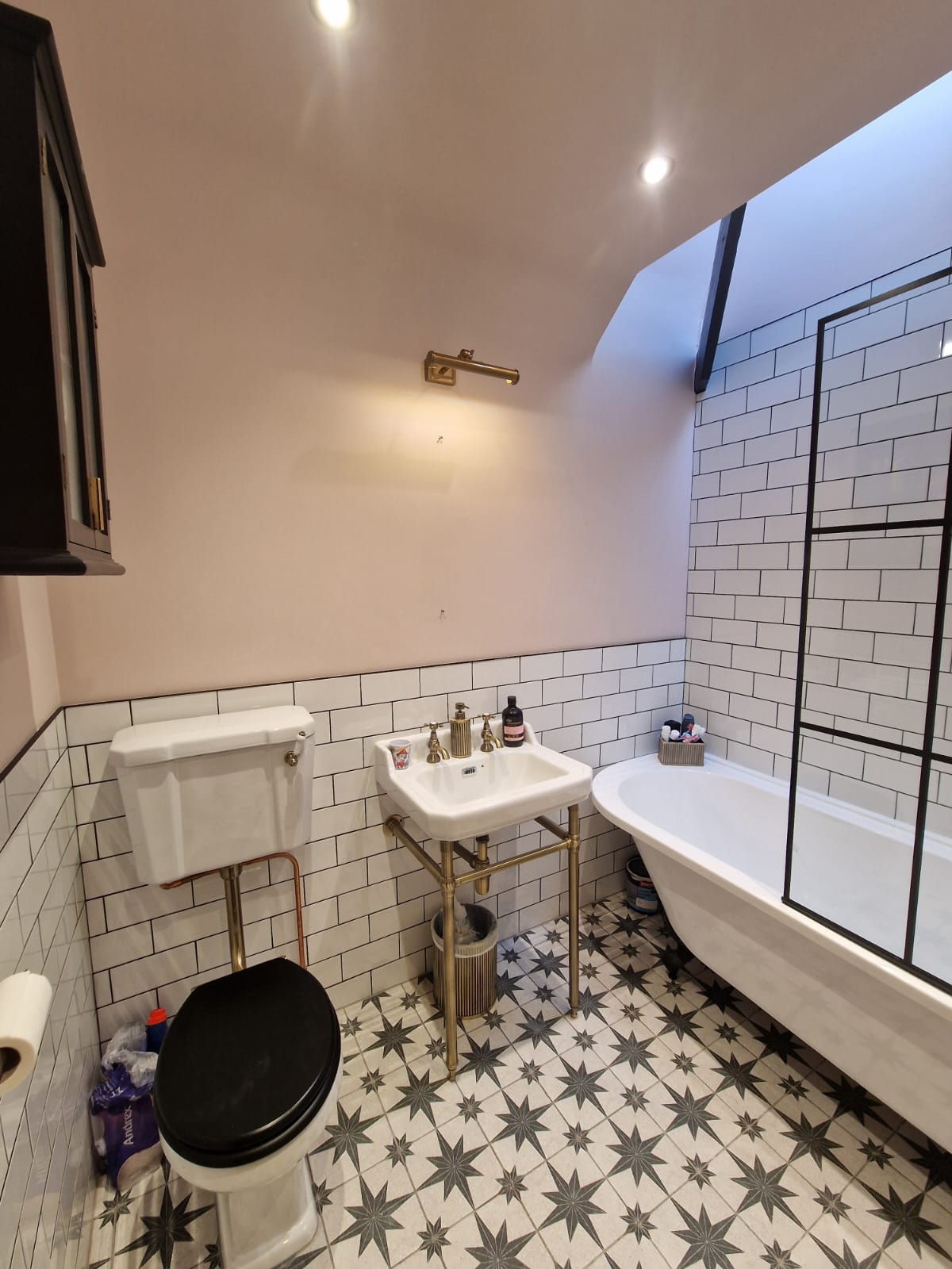 Bathroom Painted
